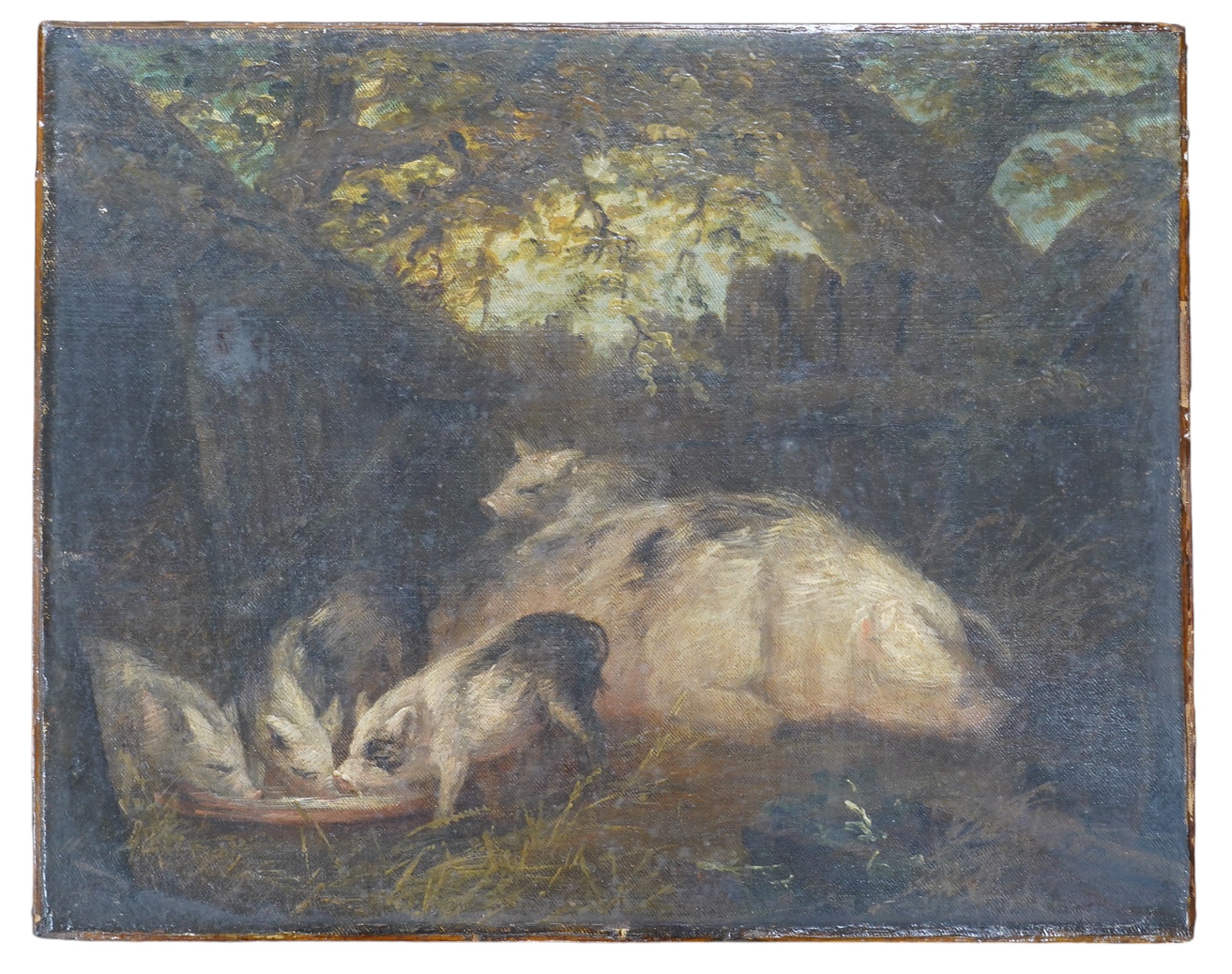 19th century, English school, oil on canvas, study of pigs, 35 x 44cm. Condition - fair to good